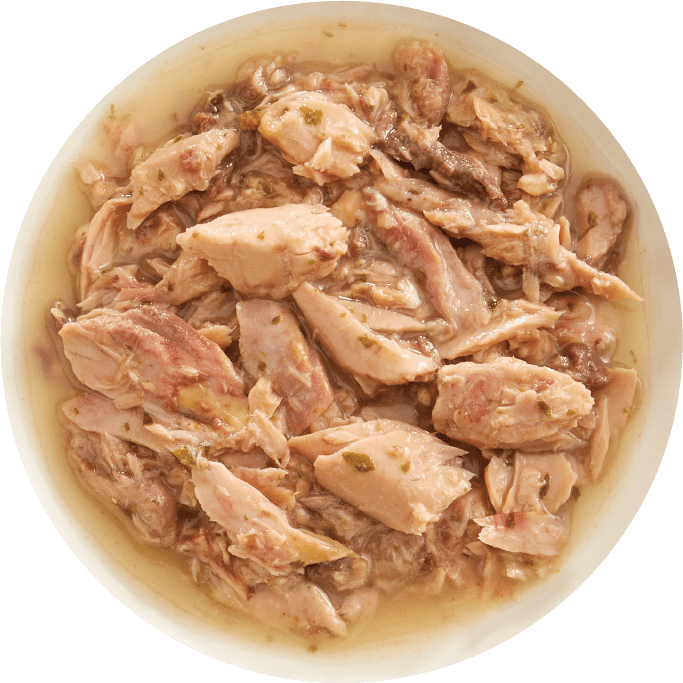 Rawz Shredded Tuna & Salmon Cat Food Recipe