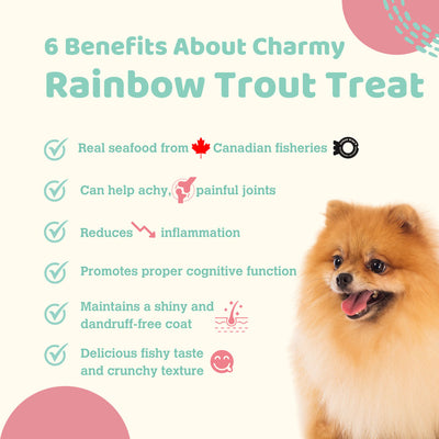 Charmy Dog & Cat Treat Rainbow Trout Filet
