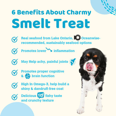 Charmy Dog & Cat Treat Smelt