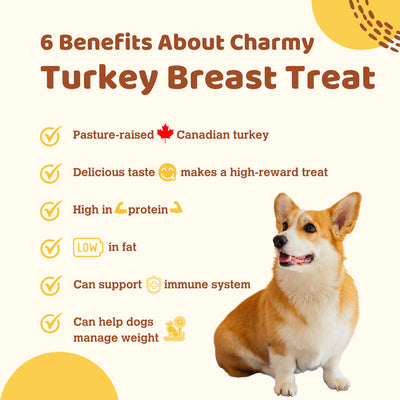 Charmy Dog & Cat Treat Turkey Breast