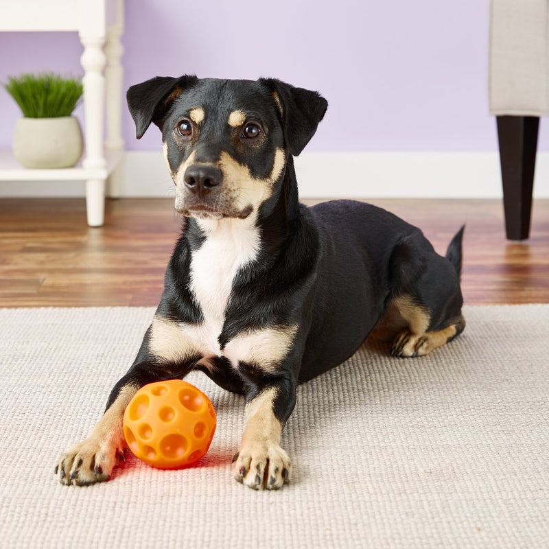 Omega Paw Tricky Treat Ball