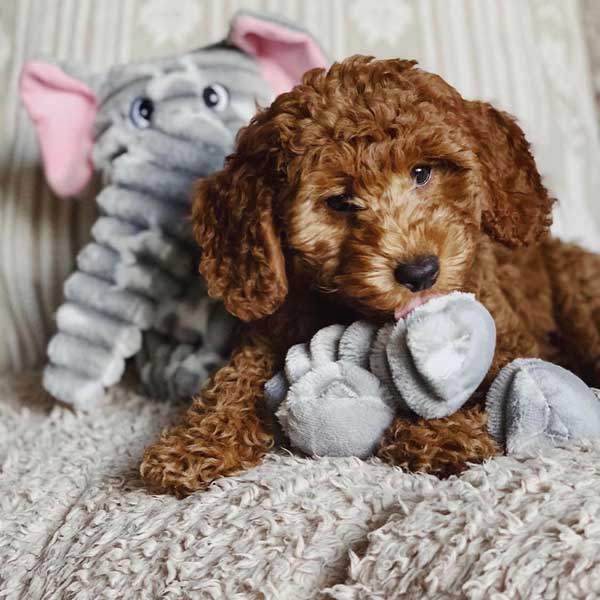 Patchwork Pet Ellie Elephant