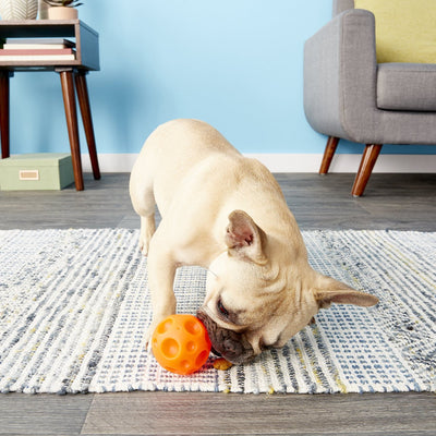 Omega Paw Tricky Treat Ball