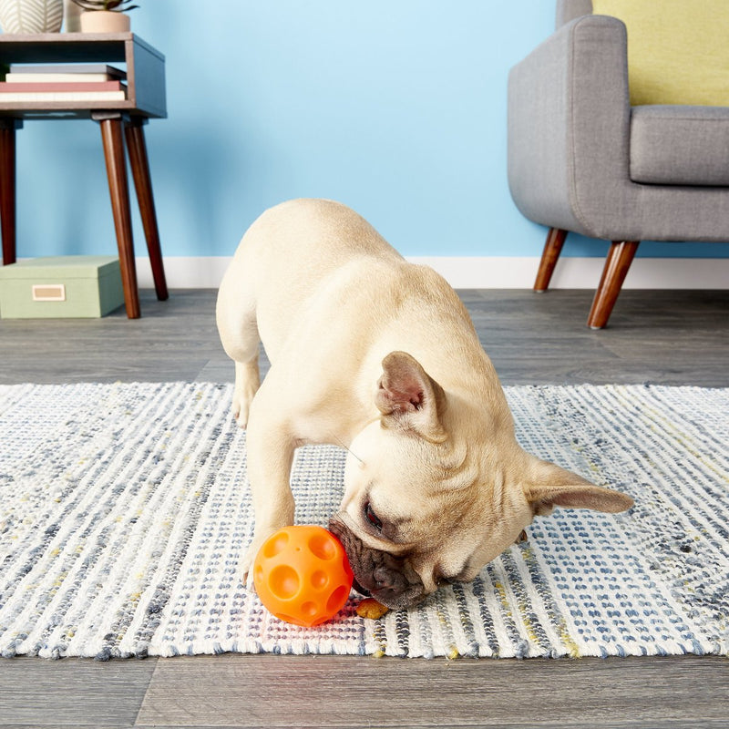 Omega Paw Tricky Treat Ball