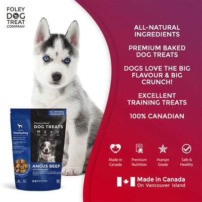 Vitality Angus Beef with Fresh Blueberries Grain Free Dog Treats