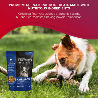 Vitality Angus Beef with Fresh Blueberries Grain Free Dog Treats