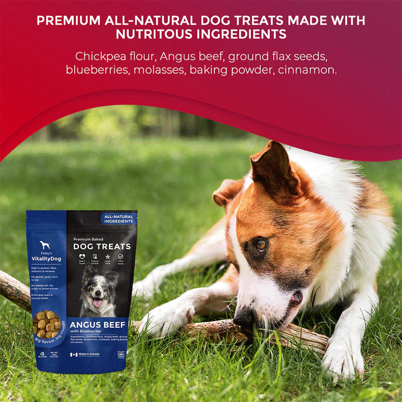 Vitality Angus Beef with Fresh Blueberries Grain Free Dog Treats