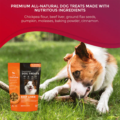 Vitality Liver with Harvest Pumpkin Grain Free Dog Treats