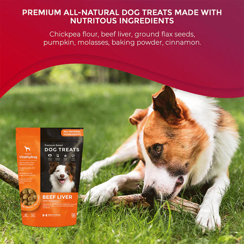 Vitality Liver with Harvest Pumpkin Grain Free Dog Treats
