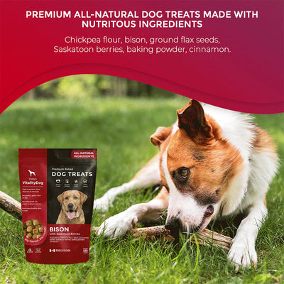 Vitality Bison with Saskatoon Berries Grain Free Dog Treats