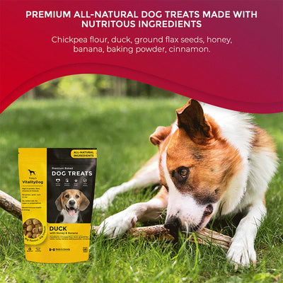 Vitality Duck with Honey Sweet Papaya Grain Free Dog Treats