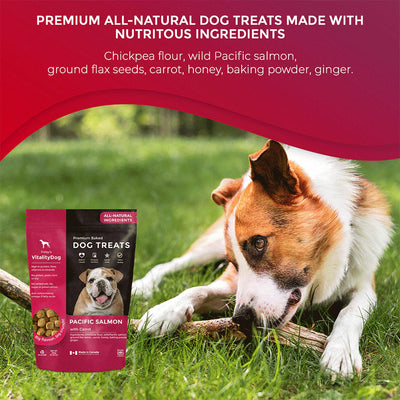 Vitality Salmon with Honey Carrots Grain Free Dog Treats