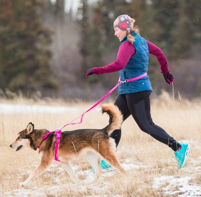 RC Pets Bungee Active Leash