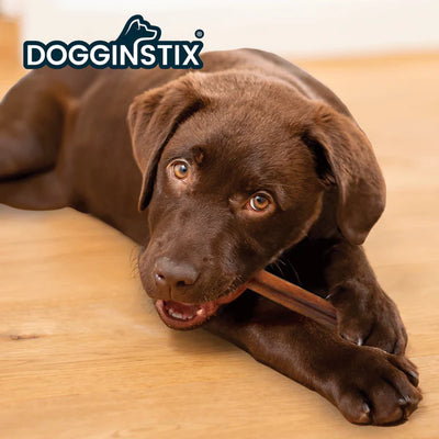 Dogginstix Bully Stick 30-32"