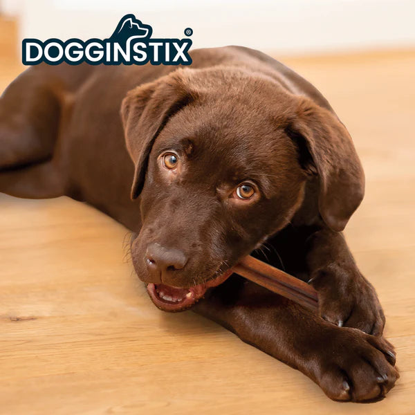 Dogginstix Bully Stick 6"