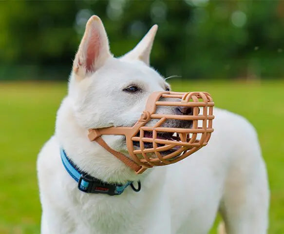 Company of Animals Baskerville Classic Basket Muzzle