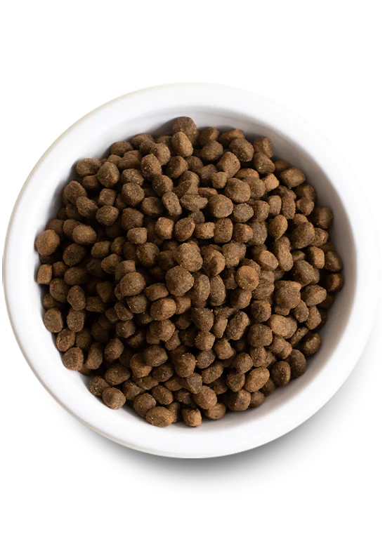 Open Farm Grass-Fed Beef & Ancient Grains Dry Dog Food