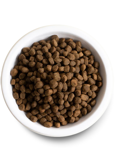 Open Farm Pasture-Raised Lamb & Ancient Grains Dry Dog Food