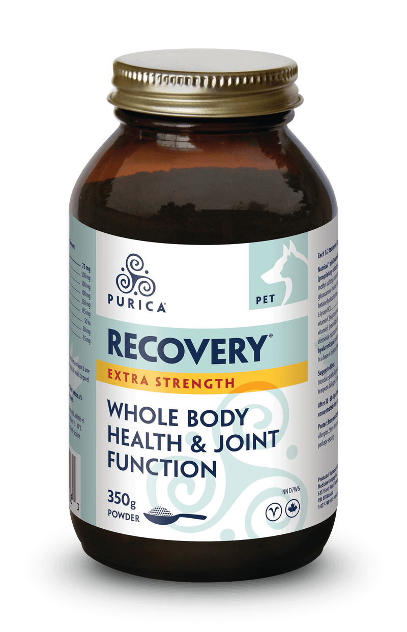 PURICA Pet Recovery Whole Body Health & Joint Function Extra-Strength Powder