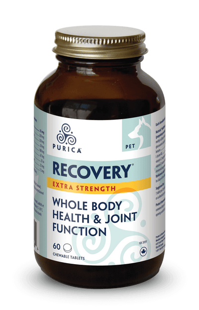 PURICA Pet Recovery Whole Body Health & Joint Function Extra-Strength Powder