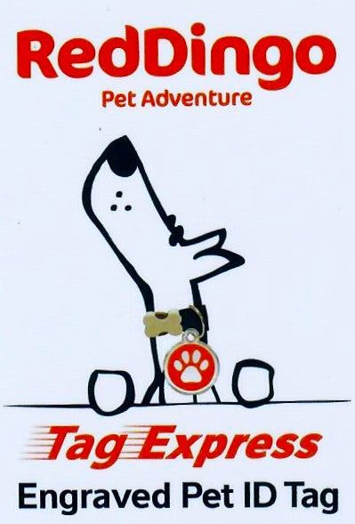 Red Dingo Express Card White