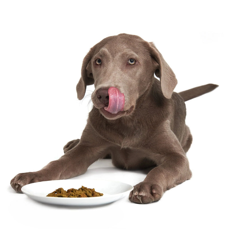 Smack Raw Dehydrated Caribbean-Salmon Fusion Recipe for Dogs