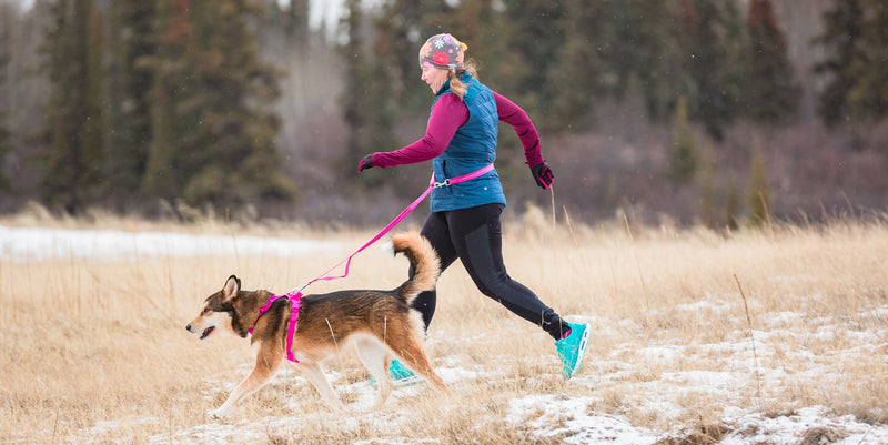 RC Pets Bungee Active Leash