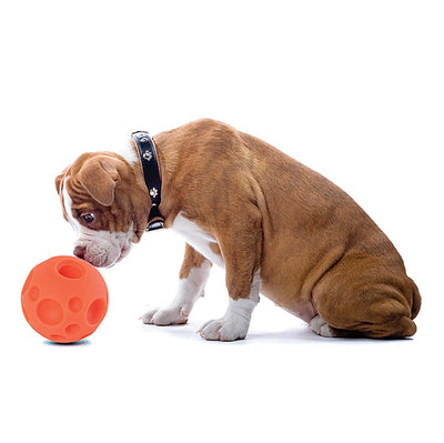 Omega Paw Tricky Treat Ball