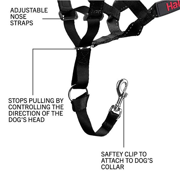 Halti Head Collar Black