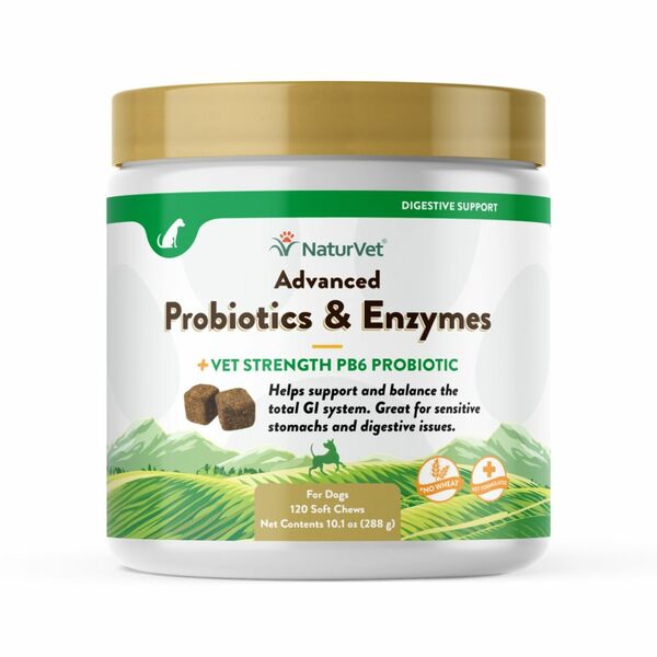 Advanced Probiotics & Enzymes Soft Chew