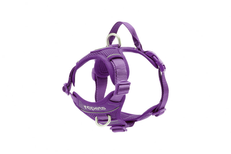 RC Pets Momentum Dog Harness
