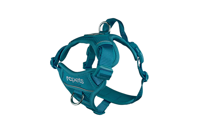 RC Pets Momentum Dog Harness