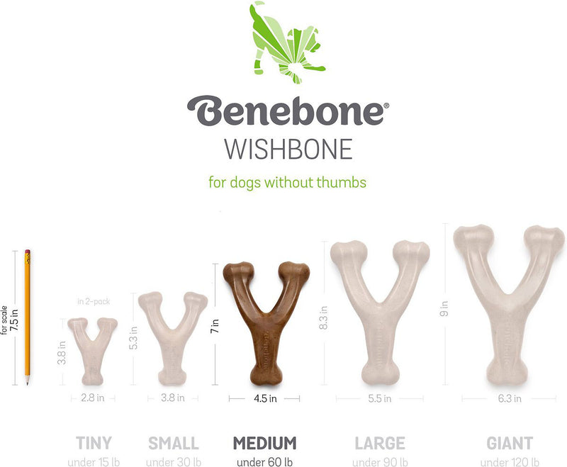 Benebone Wishbone Rotisserie Chicken Flavored