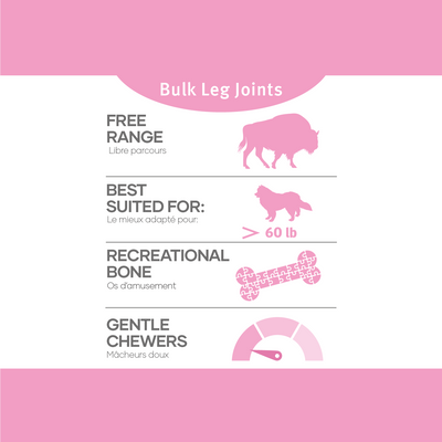 Red Dog Bison Bones - Leg Joints Bulk