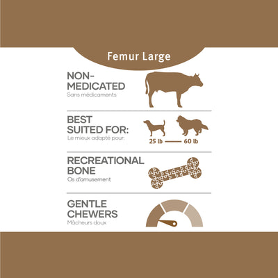 Red Dog Beef Bones - Large Femur