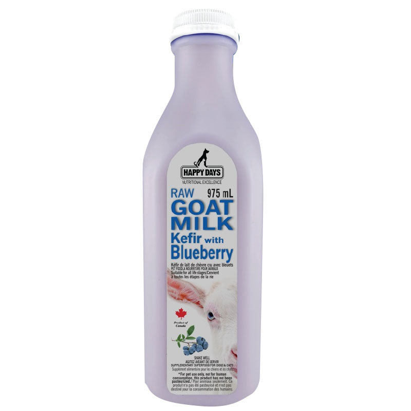 Raw Goat Milk Kefir w/Blueberry w/Blueberry