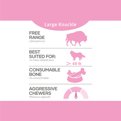 Red Dog Bison Bones - Large Knuckle