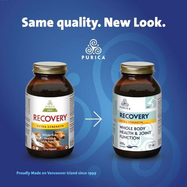 PURICA Pet Recovery Whole Body Health & Joint Function Extra-Strength Powder