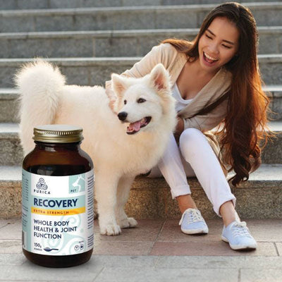 PURICA Pet Recovery Whole Body Health & Joint Function Extra-Strength Powder